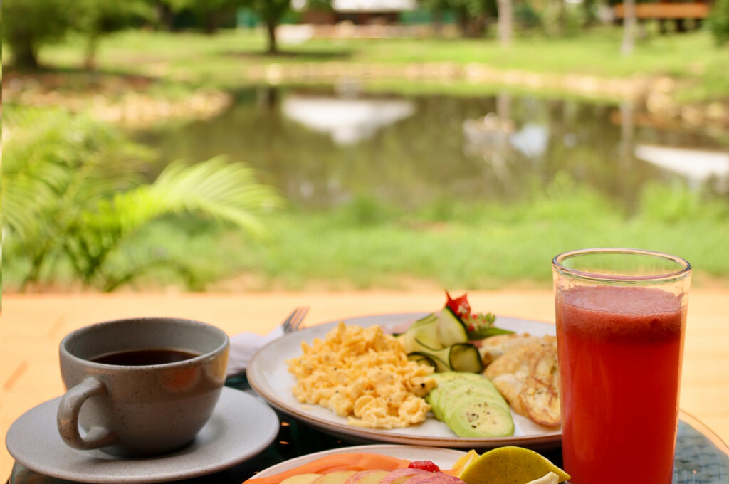 Mirando hacia el futuro: Lujo Sostenible con Cabañas Frente al Lago